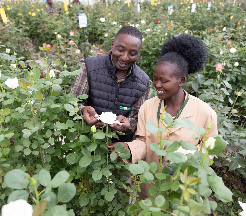 Comprehensive pest scouting system
