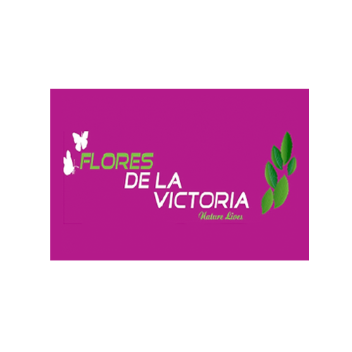 Flores De La Victoria