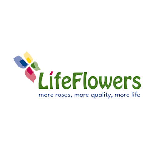 Life Flowers