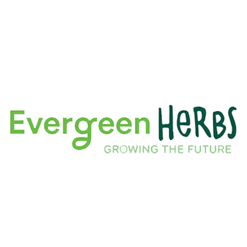 Evergreen Herbs