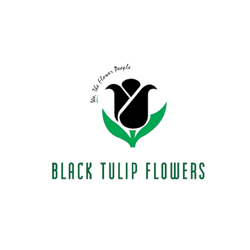 Black Tulip