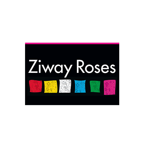 Ziwayroses