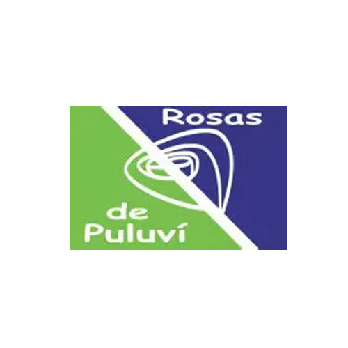 Rosas De Puluvi