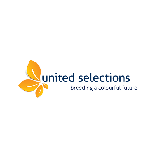United Selections