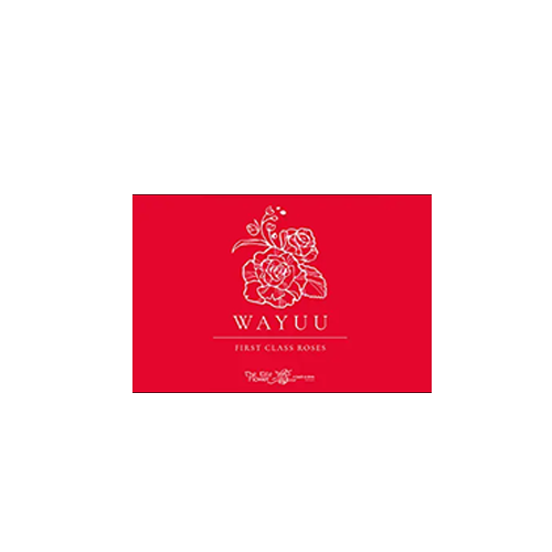 Wayuu