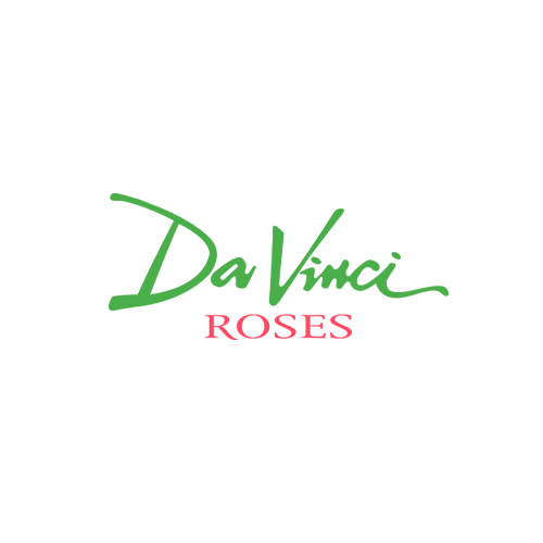 Davinci Roses
