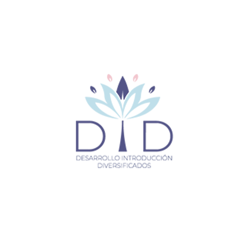 Desarrolllo Introduccion Diversificados