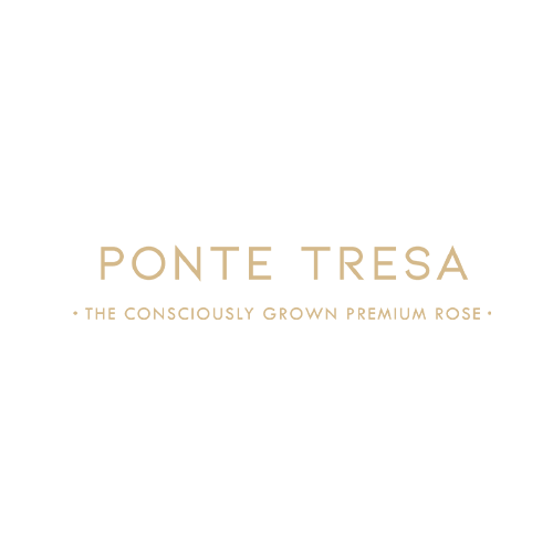 Ponte Tresa