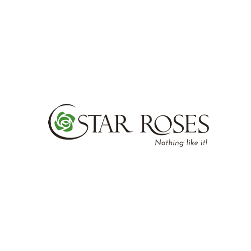 Star Roses