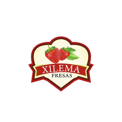 Xilema Fresas
