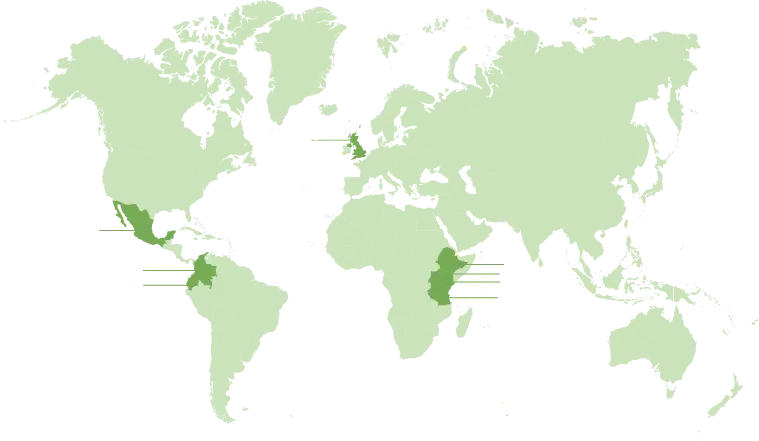 scarab map